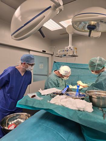 Lekári na školení plastickej chirurgie v rámci Avelane academy na Avelane clinic.